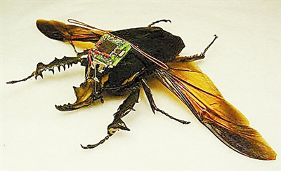 ���ͼƬ������һҳ